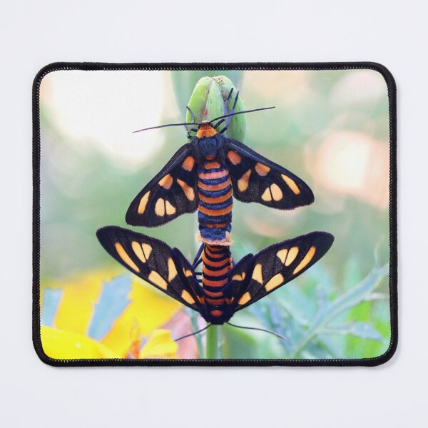 Item preview, Autumn Tiger Moths designed and sold by Siene Browne.