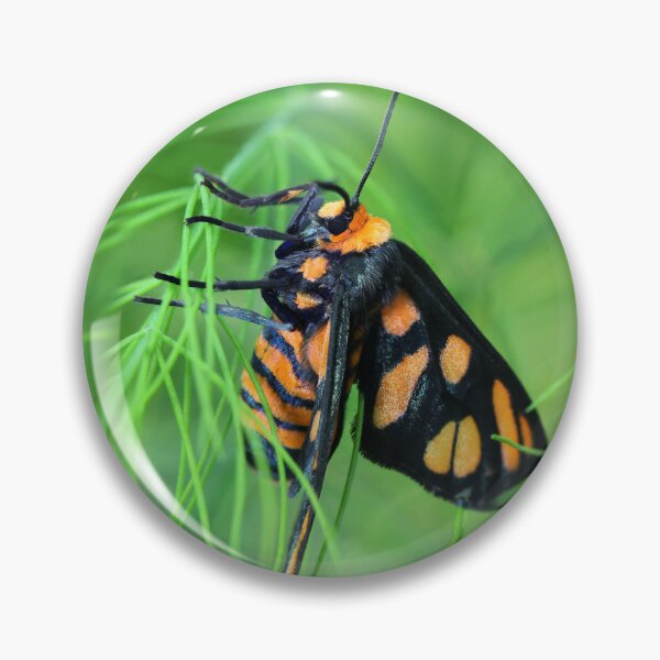 Item preview, Tiger Moth designed and sold by Siene Browne.