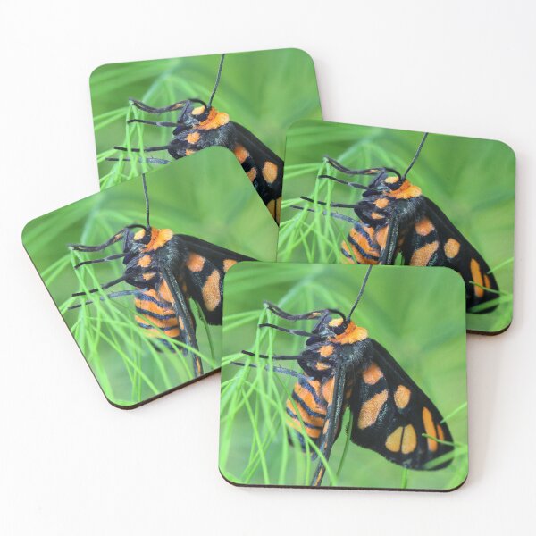Item preview, Tiger Moth designed and sold by Siene Browne.