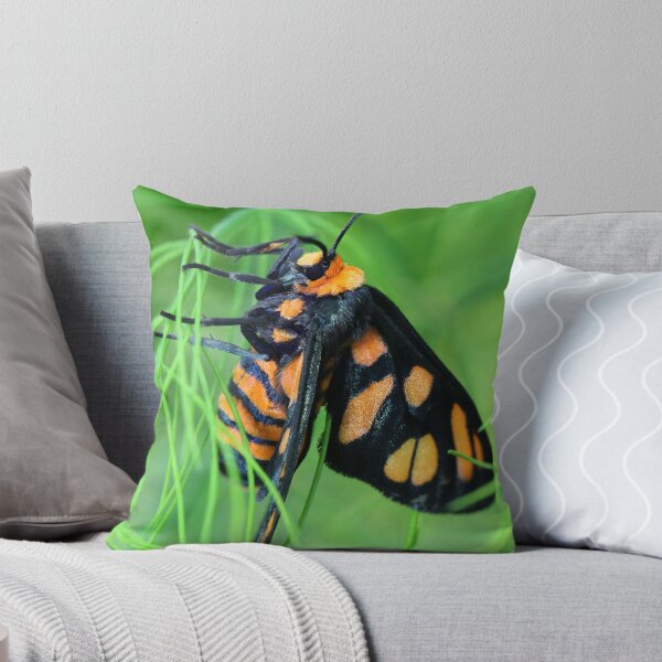 Item preview, Tiger Moth designed and sold by Siene Browne.