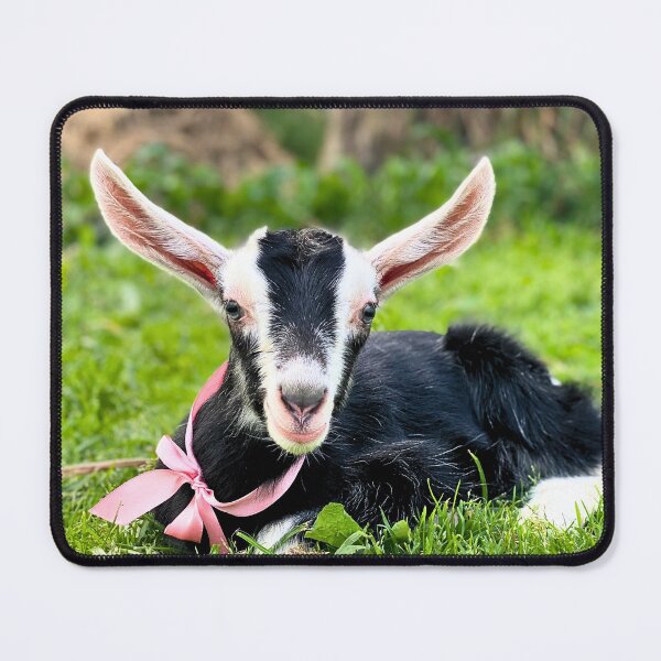 Item preview, Baby goat and pink ribbon designed and sold by CritterCapers.