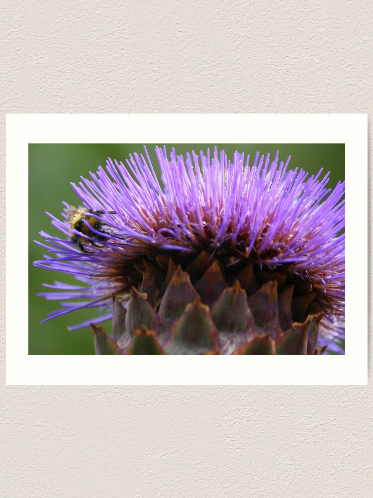Alternate view of Raider of the Globe Artichoke Art Print