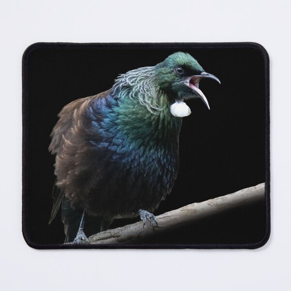 Item preview, Tūī singing designed and sold by GivernyKate.