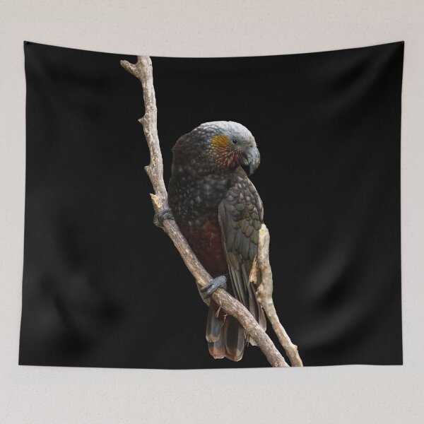 Item preview, Kākā on black designed and sold by GivernyKate.