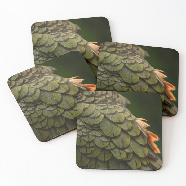 Item preview, Kea feathers designed and sold by GivernyKate.