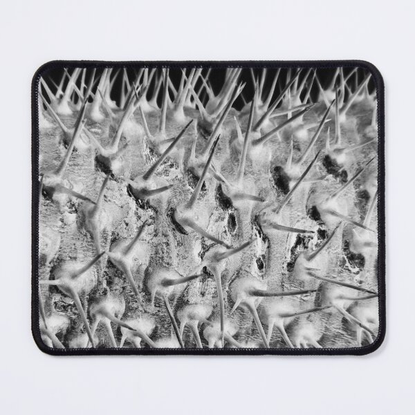 Item preview, Madagascan Palm Spiky Stem  designed and sold by DezinerDee.