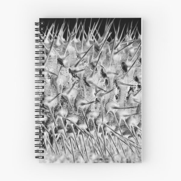 Item preview, Madagascan Palm Spiky Stem  designed and sold by DezinerDee.