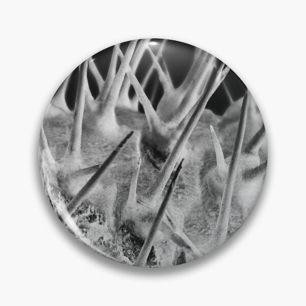 Item preview, Madagascan Palm Spiky Stem  designed and sold by DezinerDee.