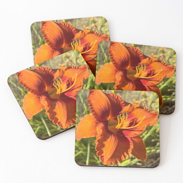 Item preview, Orange Daylily in Warm Afternoon Light designed and sold by Be Captured by Brittany Emma.