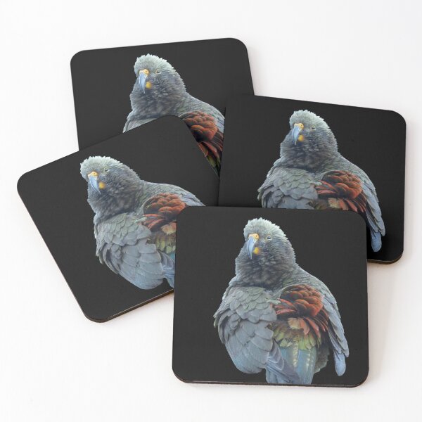 Item preview, Kea on black designed and sold by GivernyKate.