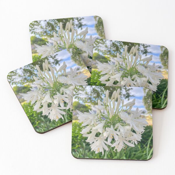 Item preview, White Agapanthus in Bloom designed and sold by Be Captured by Brittany Emma.