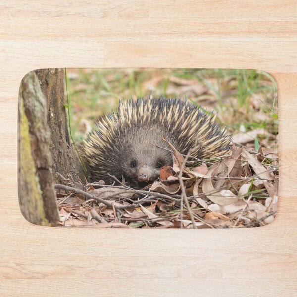 Item preview, Curious Echidna Among Dry Leaves and Sticks designed and sold by Barry Callister Photography.