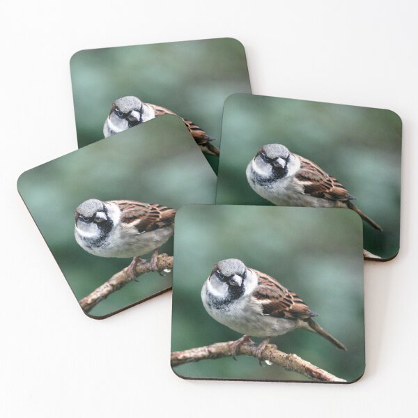 Item preview, acecho designed and sold by KathleenDawson.