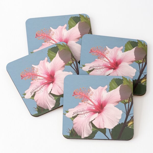 Item preview, Hibisco rosa sobre fondo celeste designed and sold by carmencuarzo.