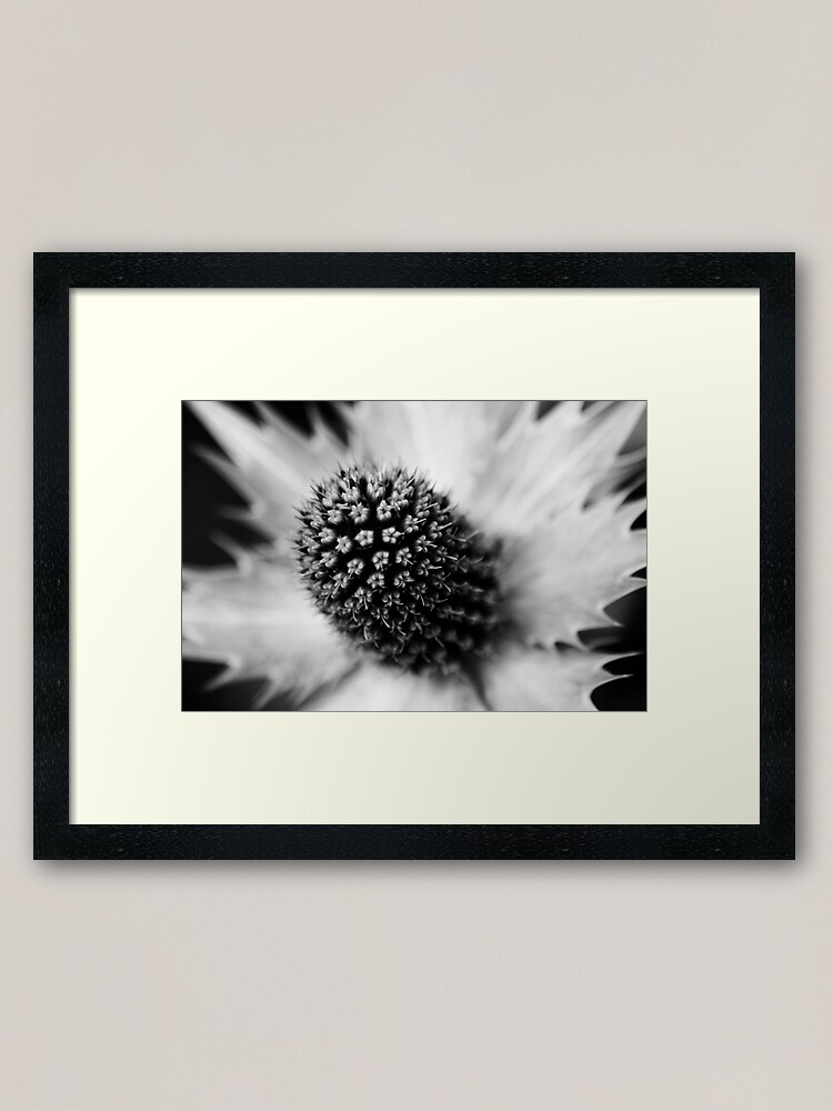 Alternate view of Heart of the White Explosion in Monochrome Framed Art Print