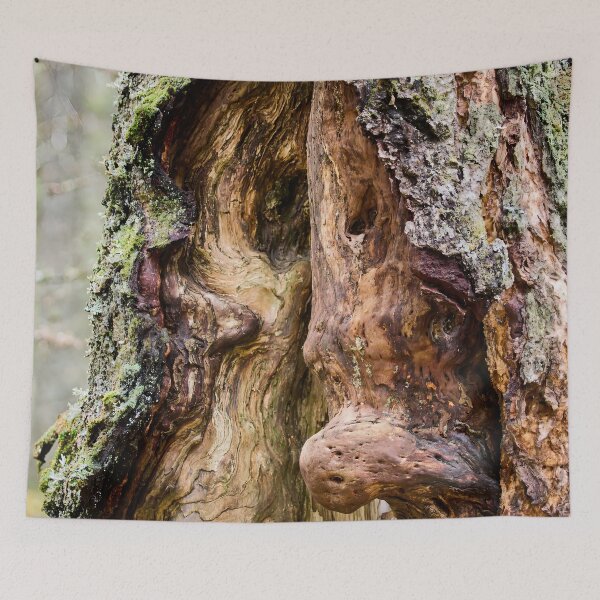 Item preview, The troll 2 designed and sold by Jouko Lehto Photography.