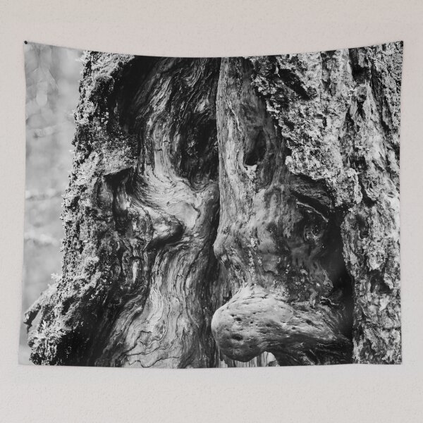 Item preview, The troll 4 bw designed and sold by Jouko Lehto Photography.