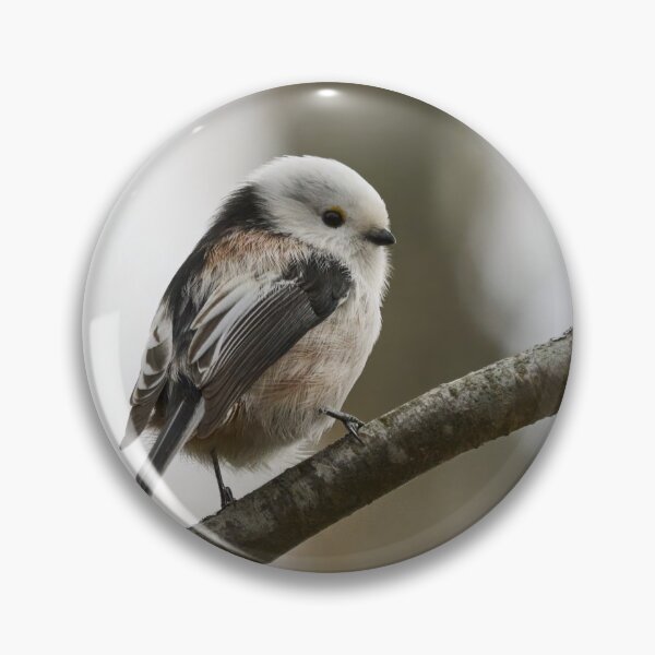 Item preview, Bushtit. Long-tailed tit designed and sold by Jouko Lehto Photography.
