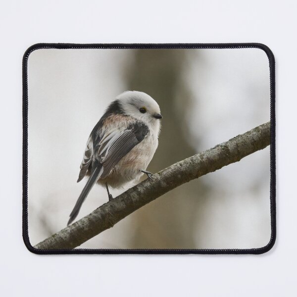 Item preview, Bushtit. Long-tailed tit designed and sold by Jouko Lehto Photography.