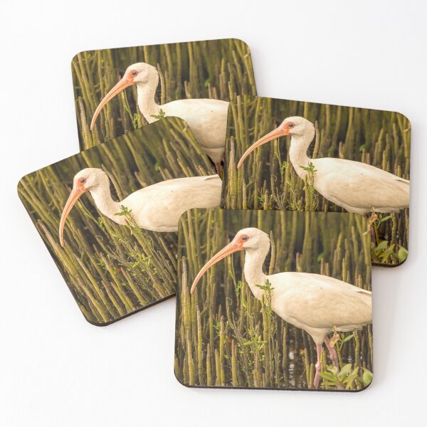 Item preview, White Ibis Among Mangrove Roots designed and sold by Debra Martz.