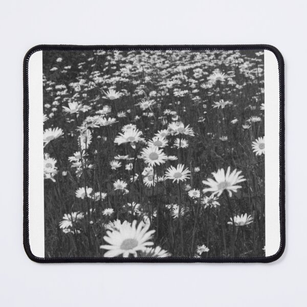 Item preview, Daisy Field Black and White Photographic Print designed and sold by Mother-Nature65.