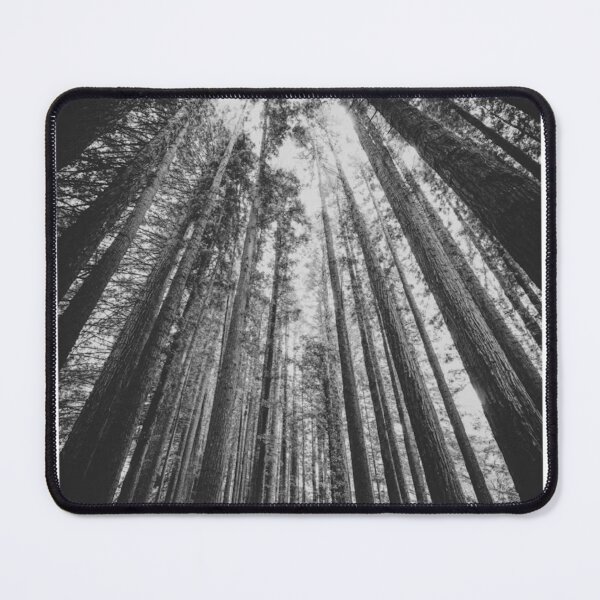 Item preview, Tall Trees Ground View Black and White Photographic Print designed and sold by Mother-Nature65.