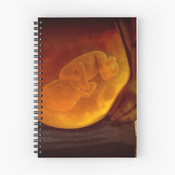 Item preview, baby in belly designed and sold by EgonZ9.