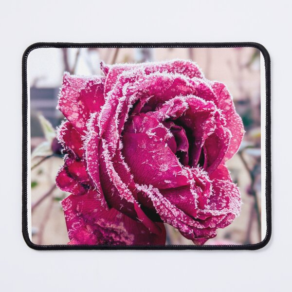 Item preview, Frozen Pink Rose in Winter – Delicate Frosted Flower designed and sold by Anyhnto.