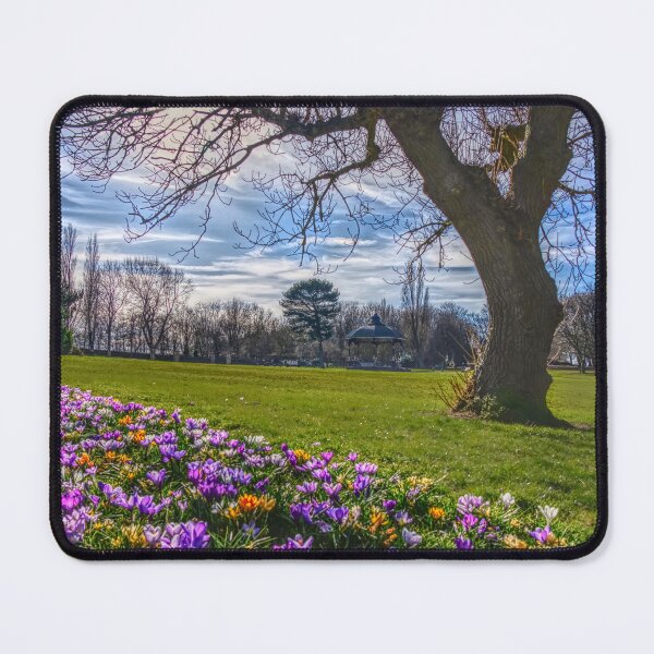 Item preview, Barnsley Locke Park designed and sold by Alisonchambers2.