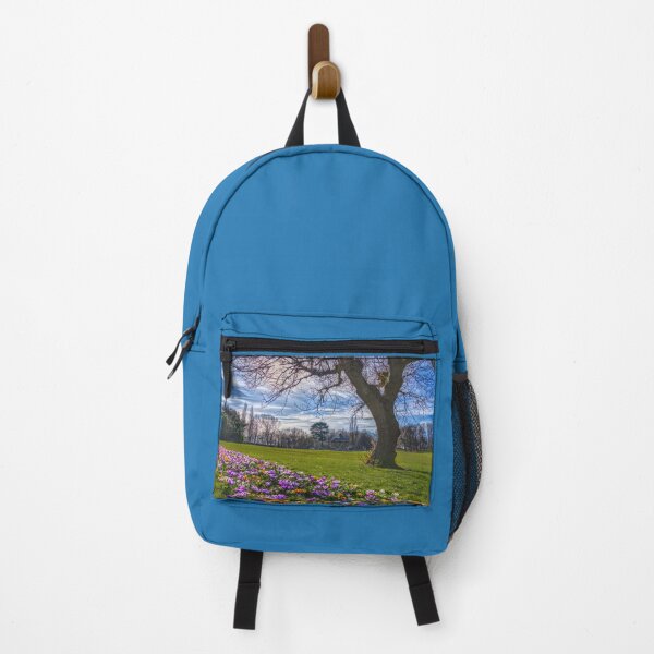 Item preview, Barnsley Locke Park designed and sold by Alisonchambers2.
