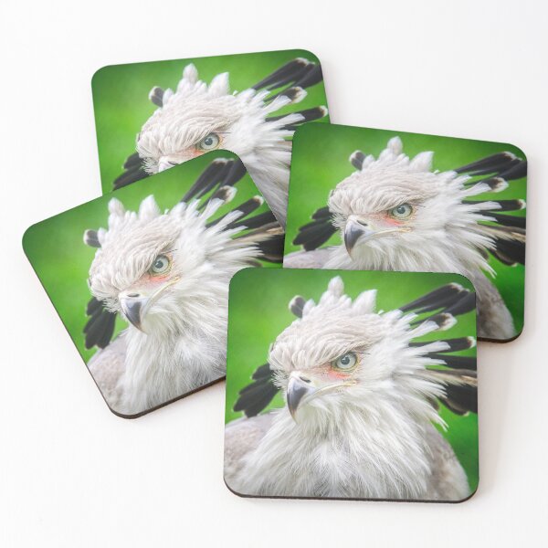 Item preview, secretarybird closeup designed and sold by EgonZ9.