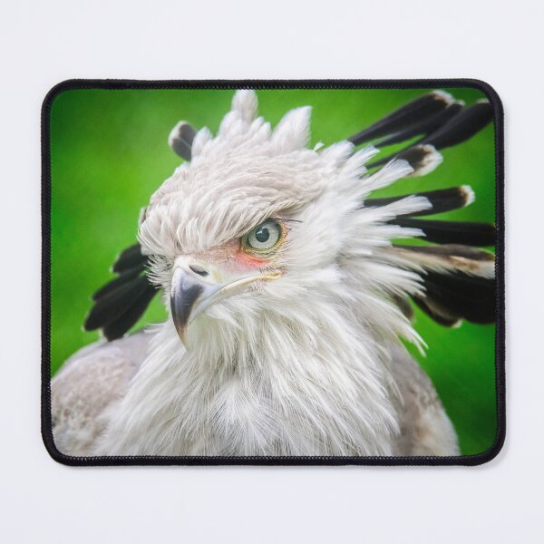 Item preview, secretarybird closeup designed and sold by EgonZ9.
