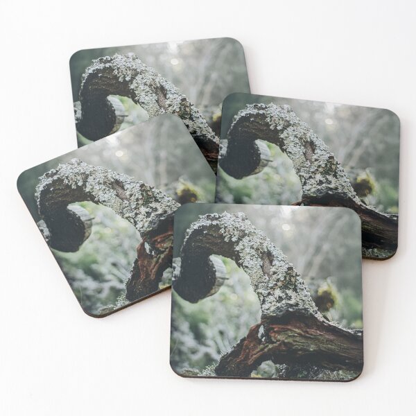 Item preview, Ancient Curves designed and sold by IdleImages.