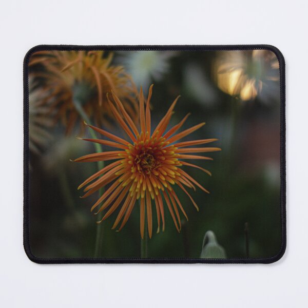 Item preview, Solar Flare designed and sold by IdleImages.