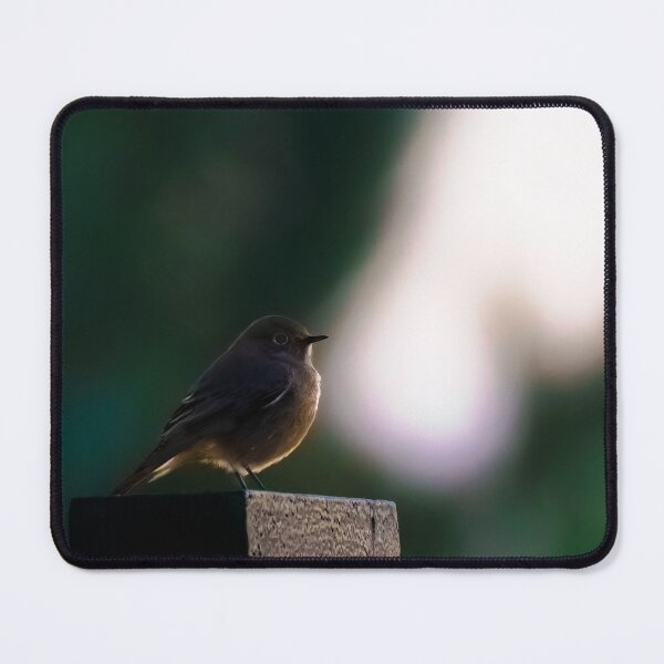 Item preview, Black Redstart designed and sold by Ralph Goldsmith.