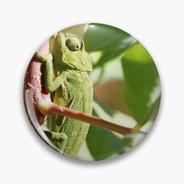 Item preview, Chameleon designed and sold by Bonito-67.