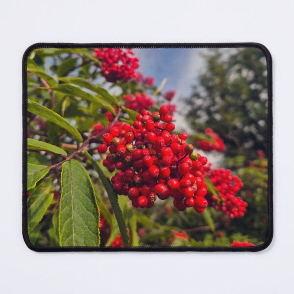 Item preview, Fall berries designed and sold by Villydottir.