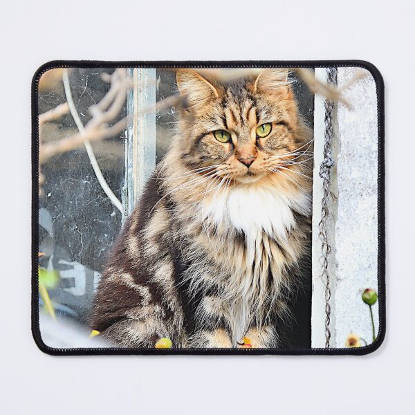 Item preview, Cat in the window designed and sold by Vanja Rosenthal.