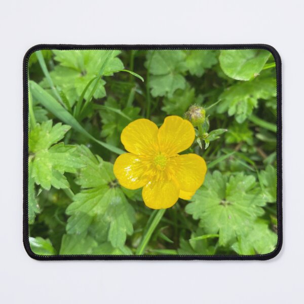 Item preview, Buttercup designed and sold by Sandcastles27.