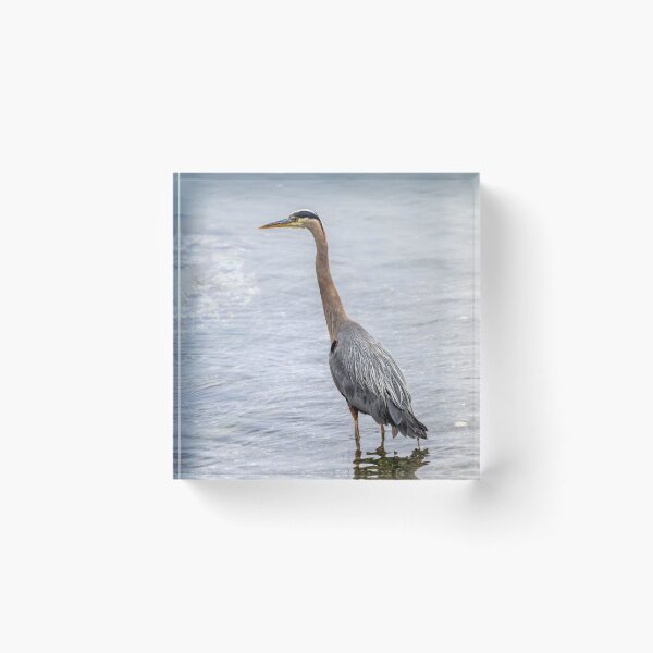 Item preview, Heron Reflected designed and sold by DawsonImages.