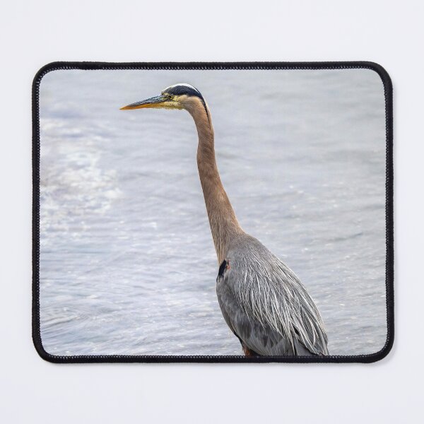 Item preview, Heron Reflected designed and sold by DawsonImages.