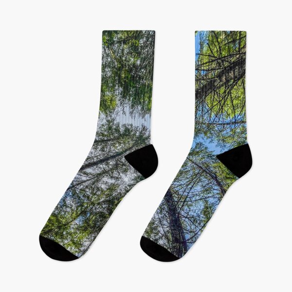 Item preview, Sacred Grove Sky Portal – Looking Up Through Ancient Pines designed and sold by aadventures.