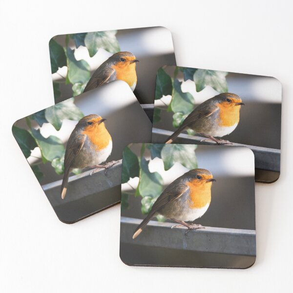 Item preview, European Robin Close Up in Winter Sun designed and sold by Clayton Captures.