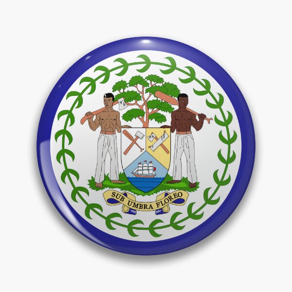 Item preview, Belize National Flag Detailed Design designed and sold by NTGUILTY.