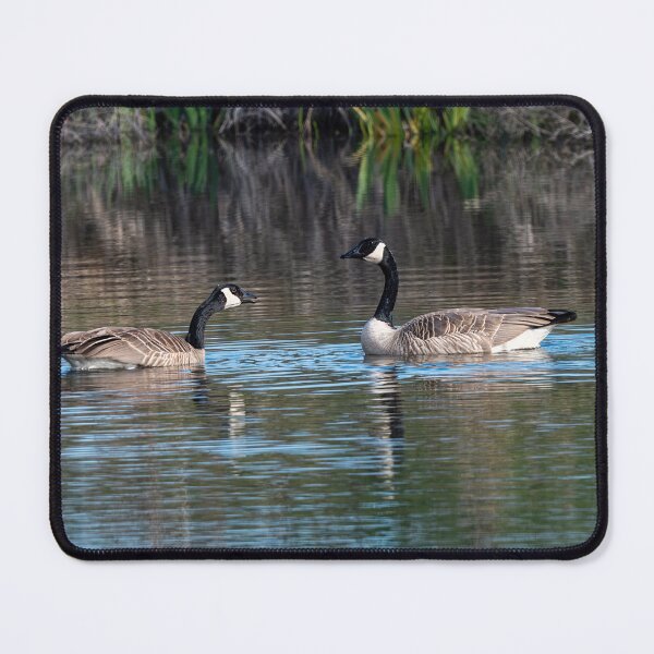 Item preview, Fly North designed and sold by DawsonImages.