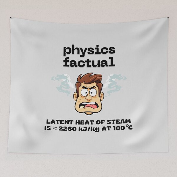 Item preview, Physics Factual - Latent Heat of Steam (Vaporization). designed and sold by MPC-Mince-Pies.