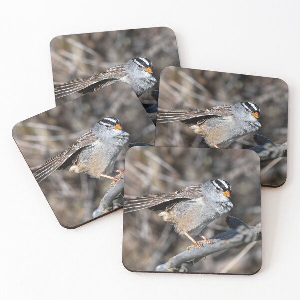 Item preview, White Crowned Sparrow Preen designed and sold by DawsonImages.
