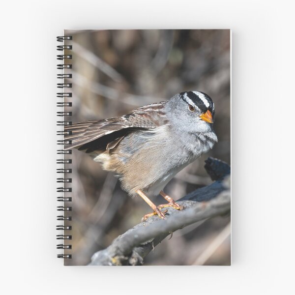 Item preview, White Crowned Sparrow Preen designed and sold by DawsonImages.