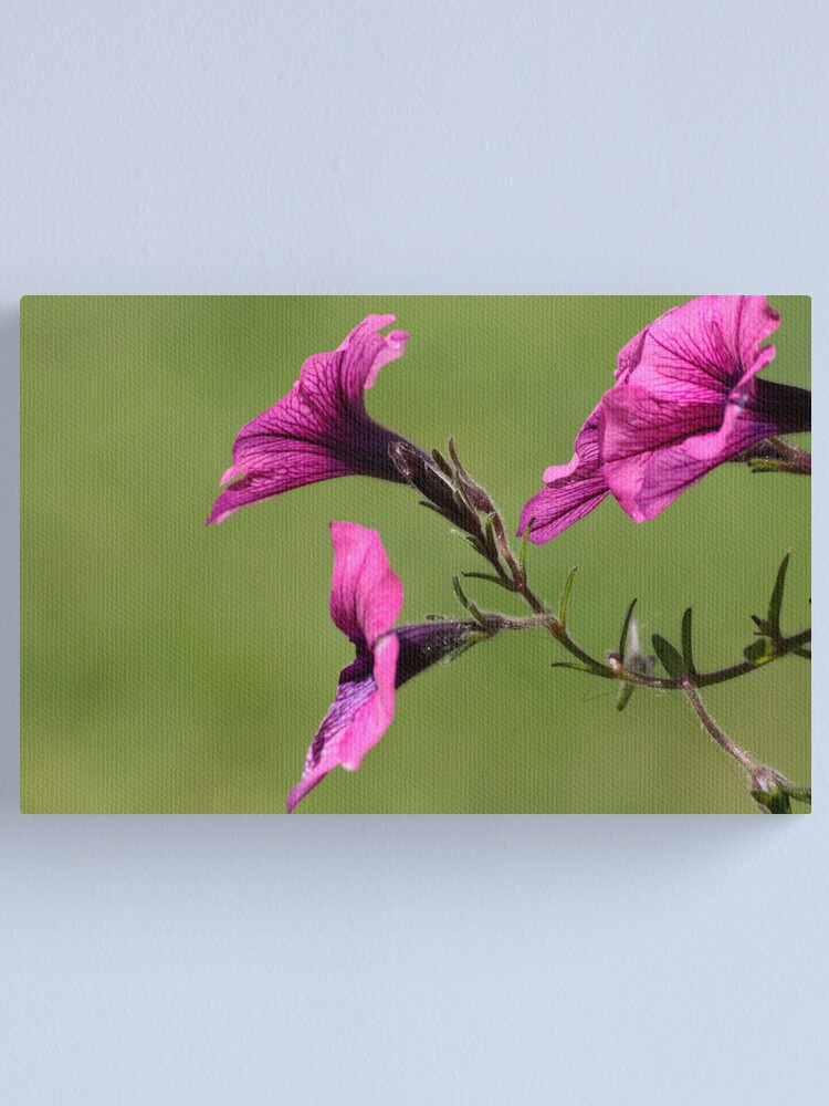 Alternate view of Delicate Crimson Canvas Print