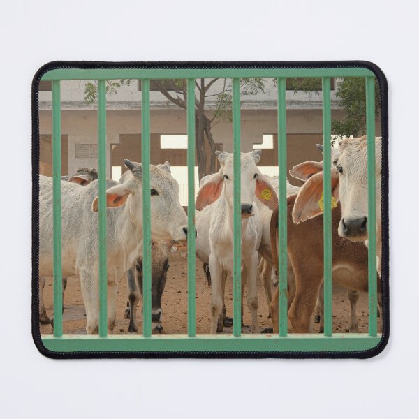 Item preview, GOW | COW | INDIA designed and sold by ishcatch.